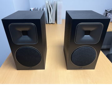 Martin Logan Foundation B1