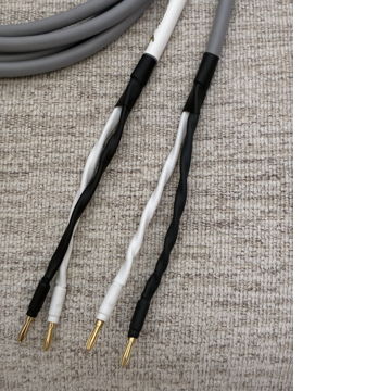 Canare 4S11, 8ft. Pair High Resolution speaker cables.