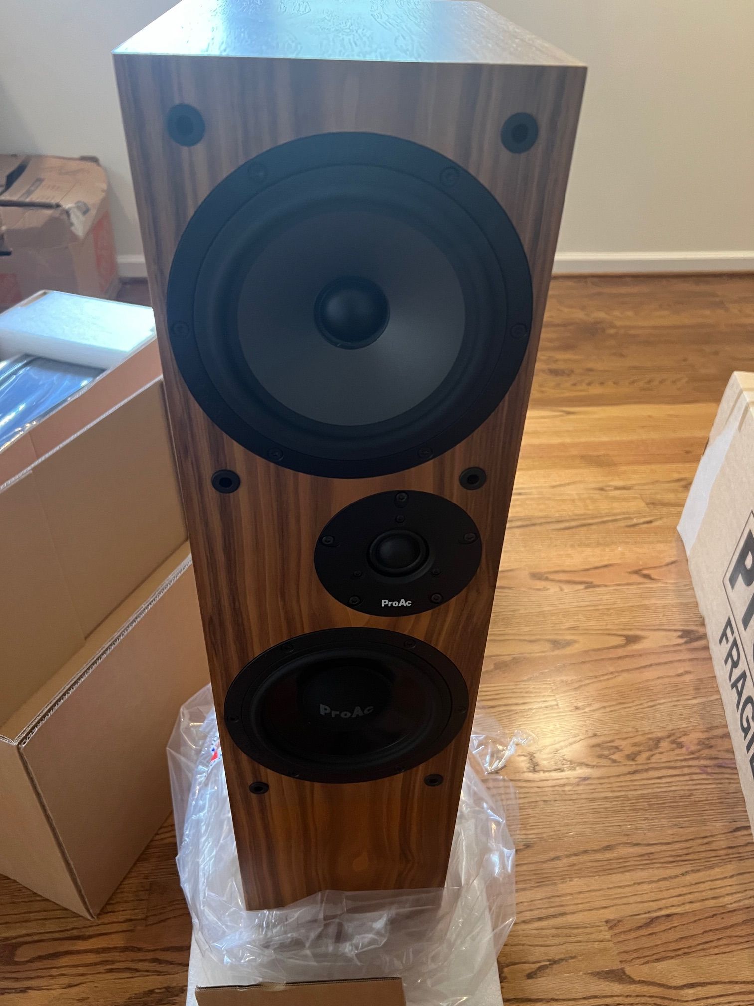 Proac DT8 speakers - mint customer trade-in 6