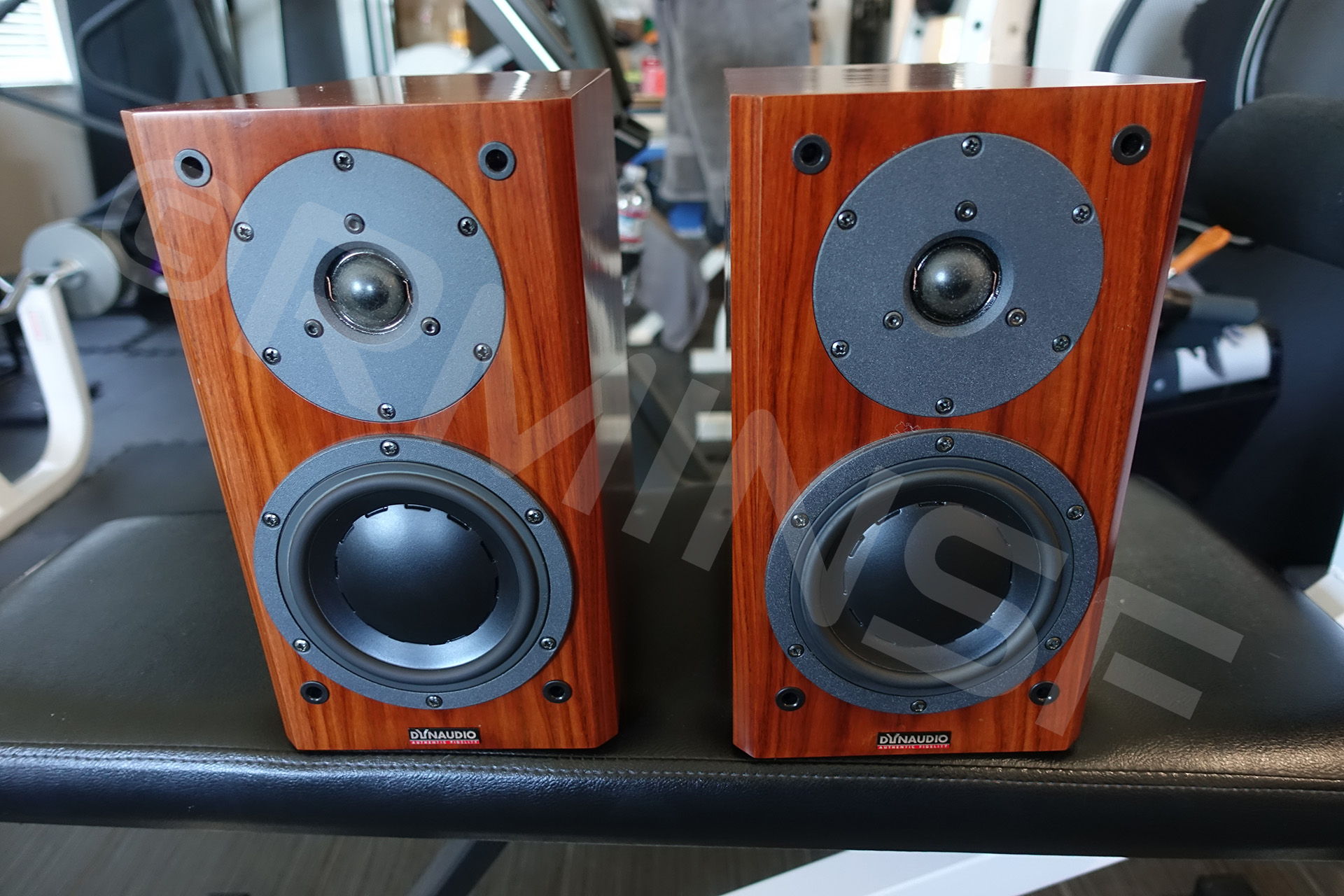 Dynaudio Focus 110 2