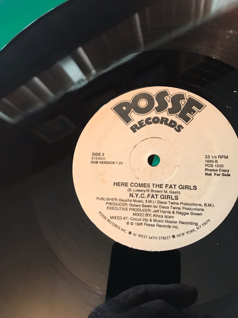 N.Y.C. Fat Girls - Here Comes The Fat Girls - Posse Rec... 2