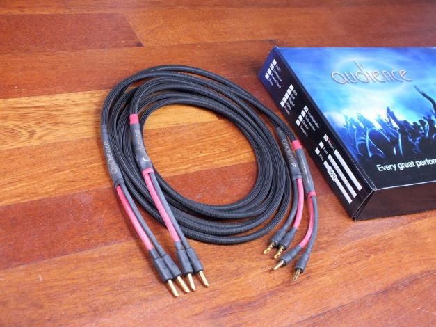 Audience Conductor spk speaker cables 2,5 metre BRAND NEW