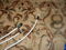 Stealth Audio Cables Hyperphono Phono Cable LOWERED 5