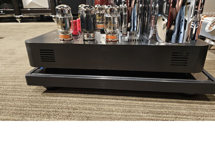 Ayon Audio Epsilon Mono Amps Pure Class A
