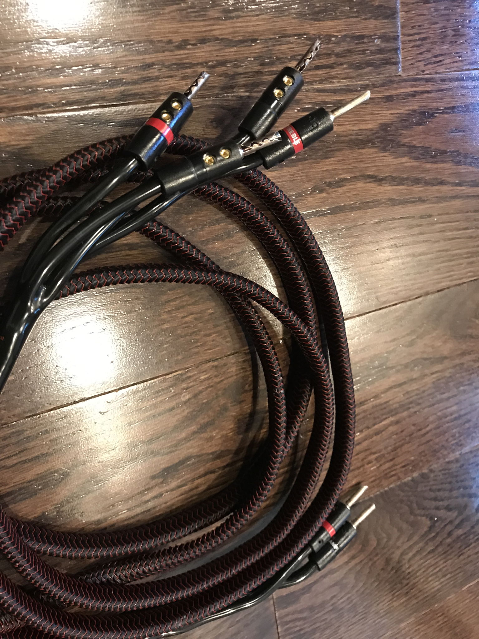 AudioQuest Rocket 33 Bi-Wire 10 Ft. 2