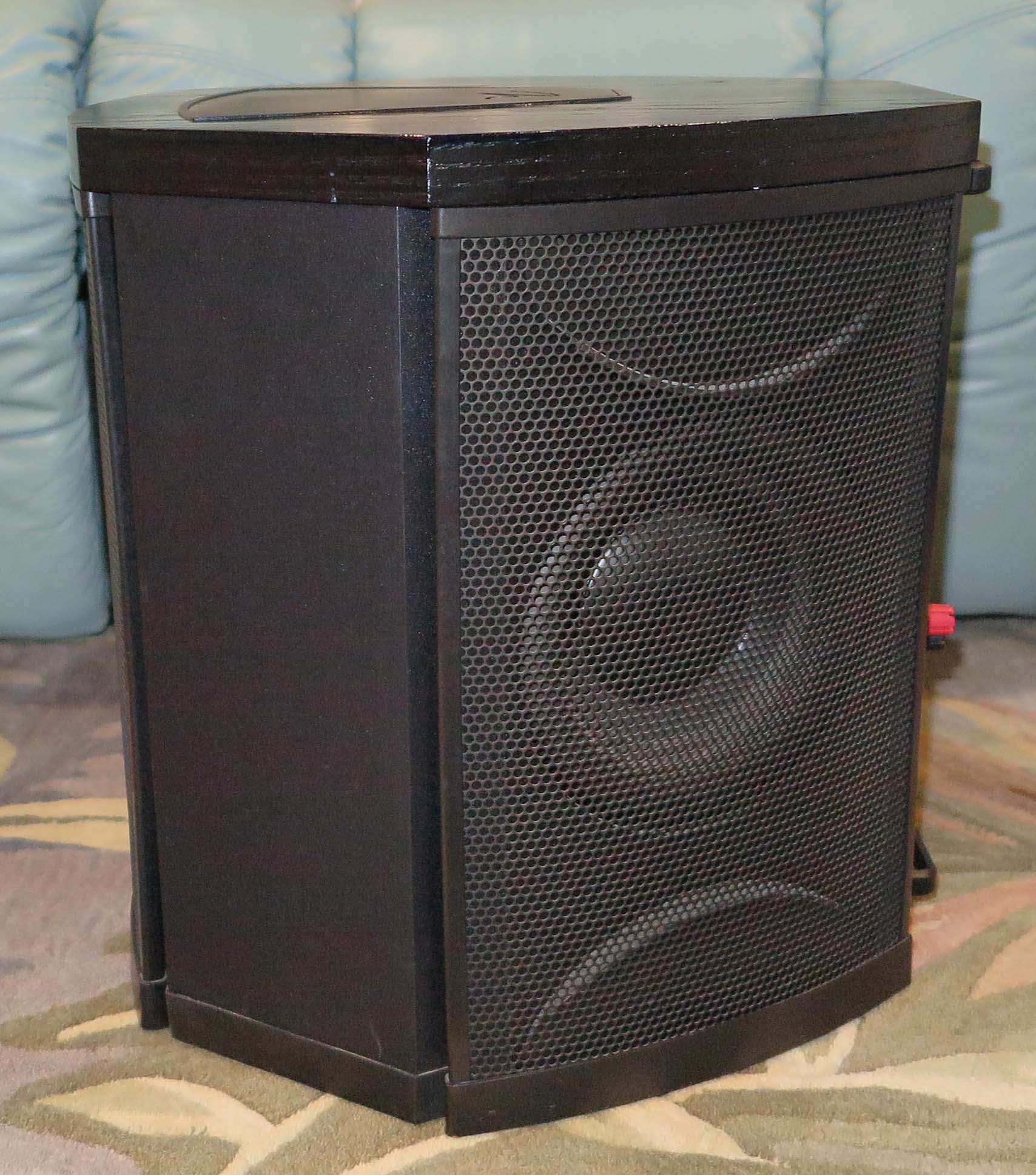 Martin Logan Depth i Subwoofer 7