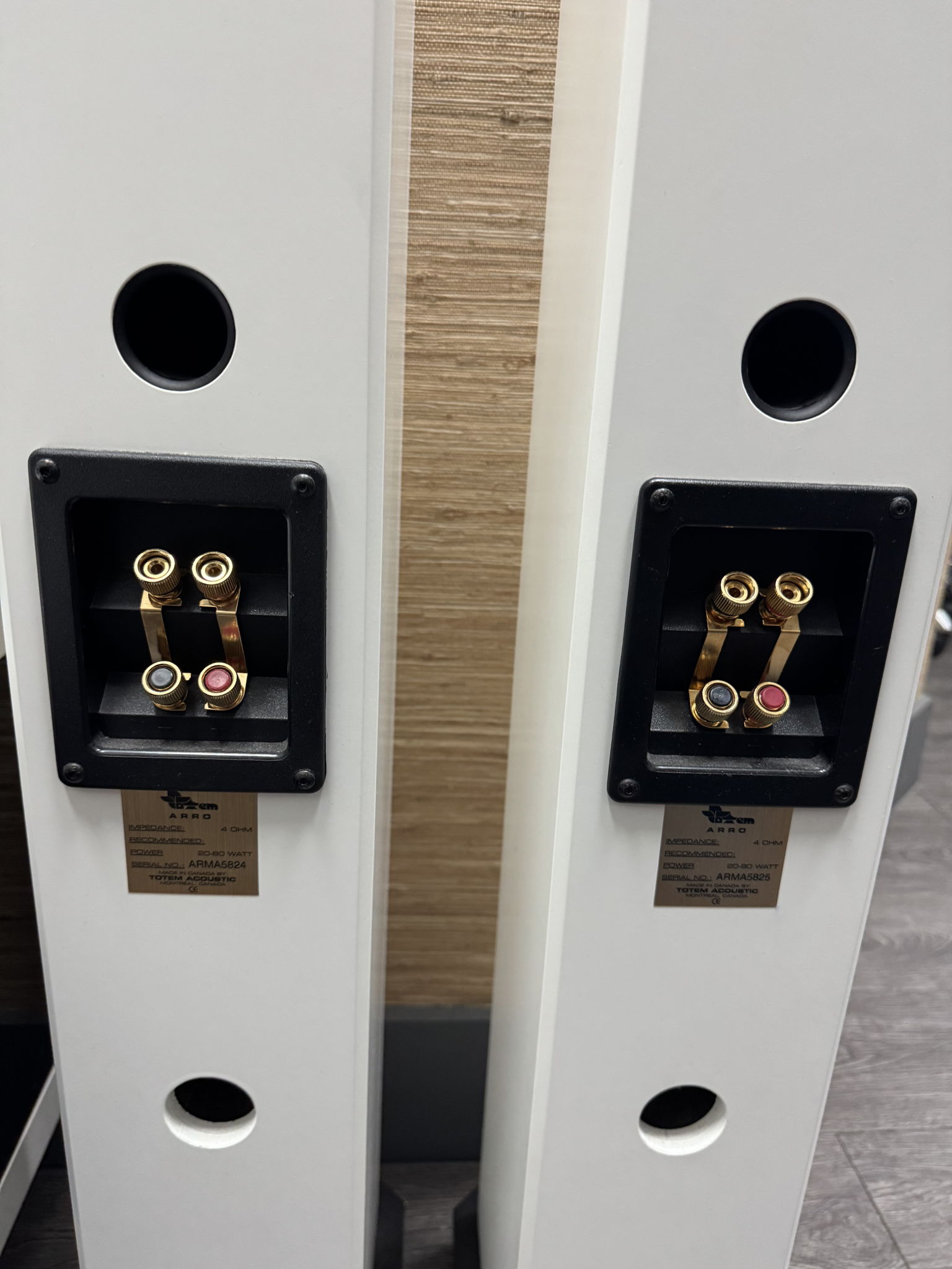 Totem Acoustic Arro 2