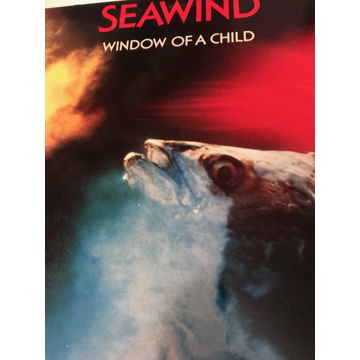 SEAWIND: window of a child SEAWIND: window of a child