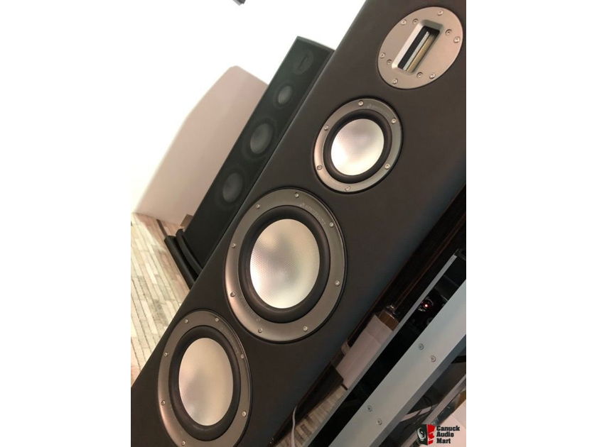 Monitor Audio Platinum PL300 speakers