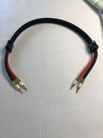 PS Audio Prelude speaker cable ( single cable for cente...