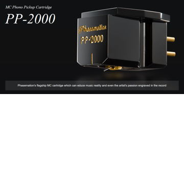 Phasemation PP-2000 Phono Cartridge -- The Japanese Ref...