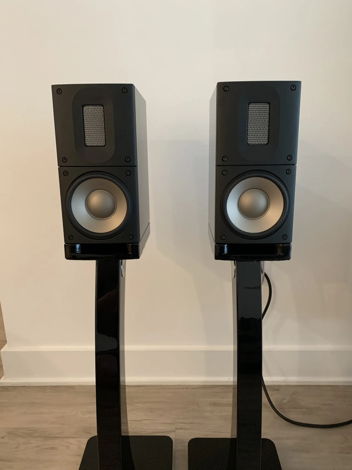 Raidho XT-1 Speakers w/ Matching Stands ~ Like New
