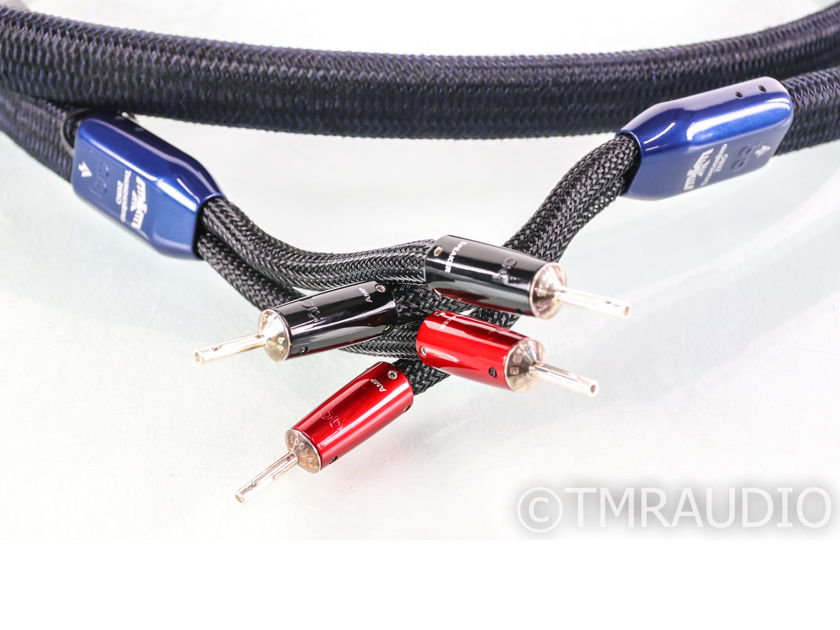 AudioQuest ThunderBird ZERO Speaker Cable; Single; 10ft; 72v DBS (39384