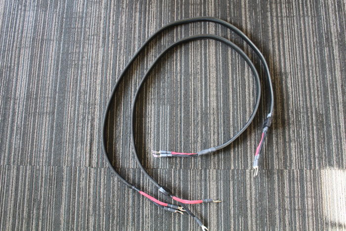Wireworld Gold Eclipse 6 Reference Speaker Cables ** "t...