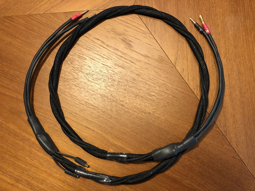 Synergistic Research Element Tungsten single speaker cable 6ft