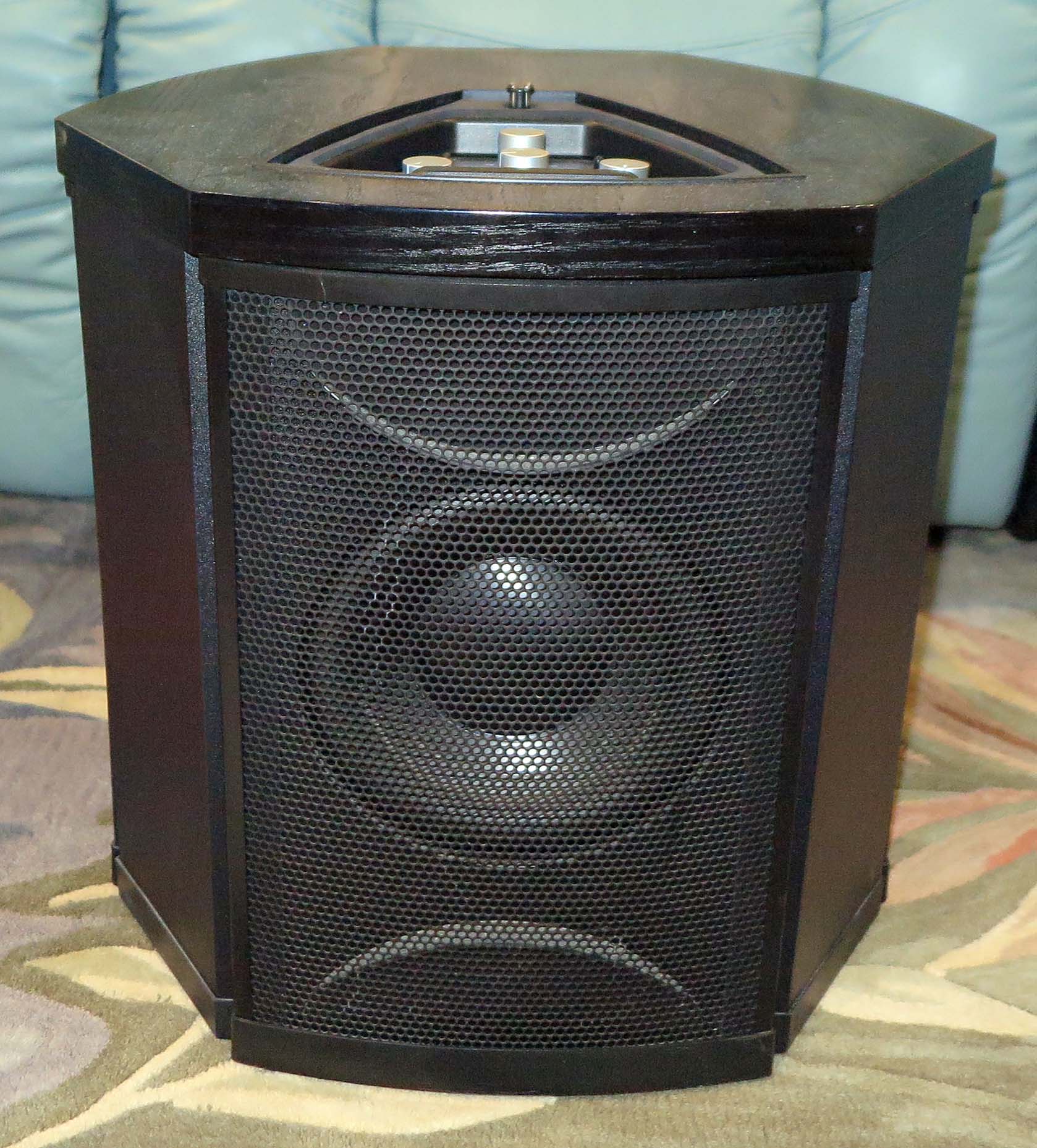 Martin Logan Depth i Subwoofer 2