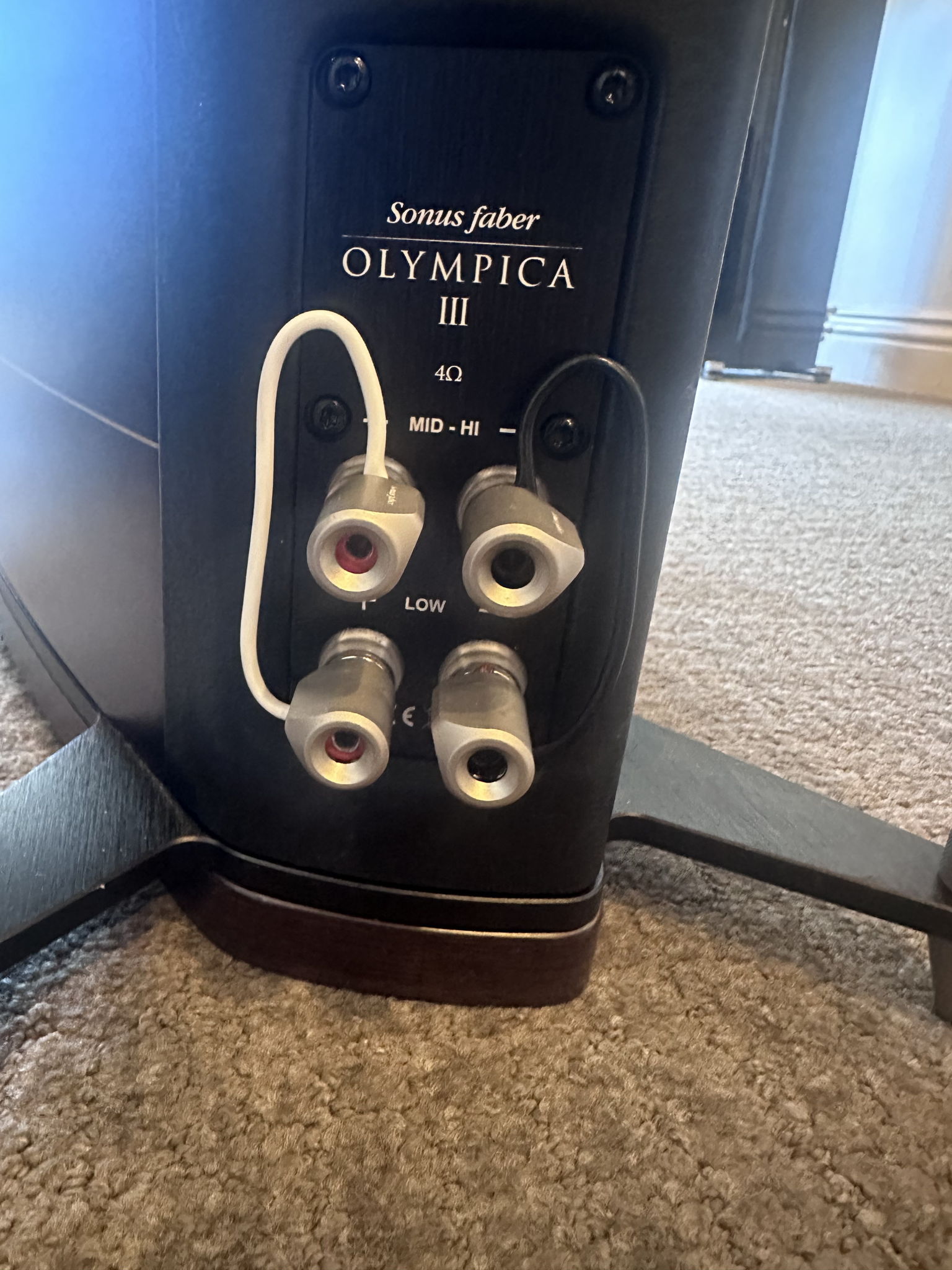 Sonus Faber Olympica III 5