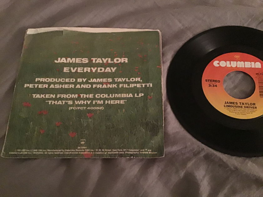 James Taylor  Everyday 45 With Picture Sleeve