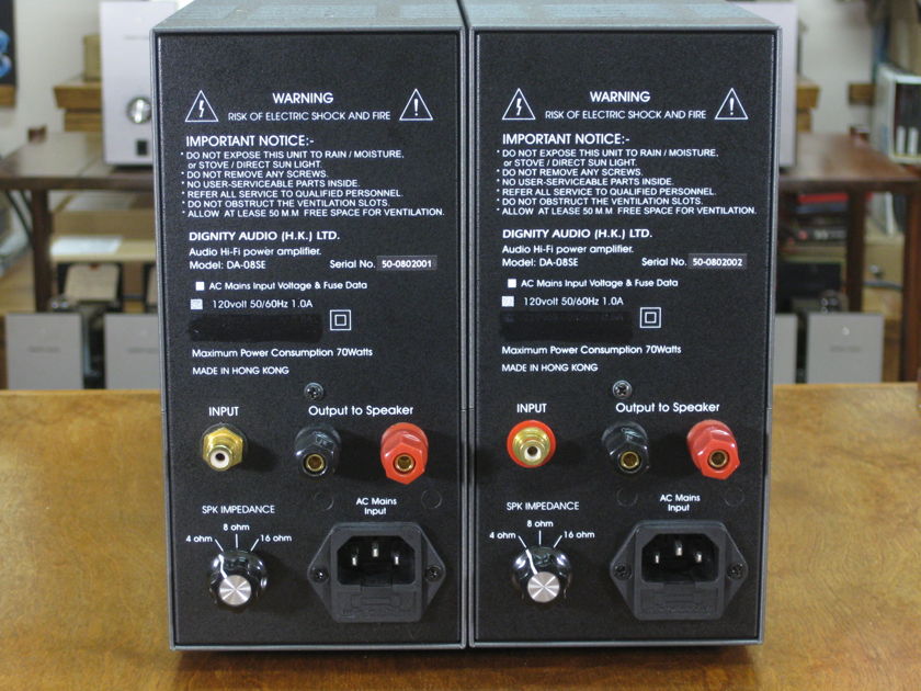 Dignity Audio 300B SE Mono power amplifier