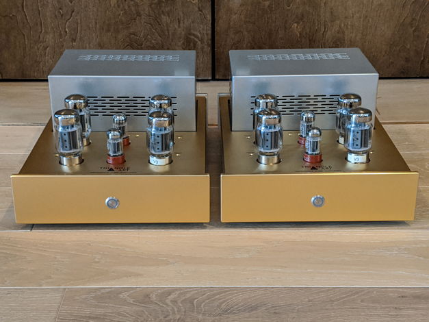 TriangleART Reference Tube Amplifier Mono Block Pair, ...