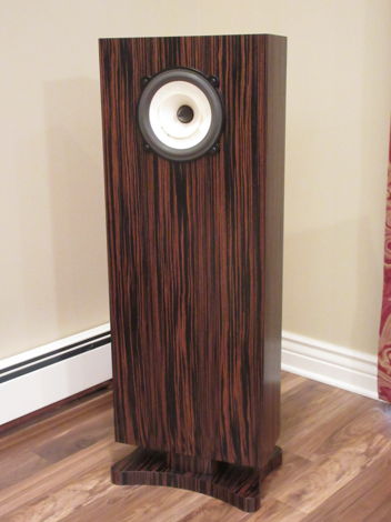 Charney Audio Maestro  in Ebony  with Voxativ AC-2.6 Dr...