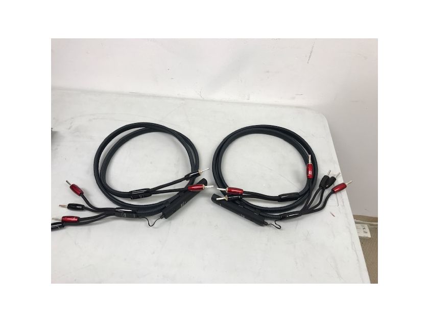 AudioQuest Meteor Speaker Cables (6FT Pair)