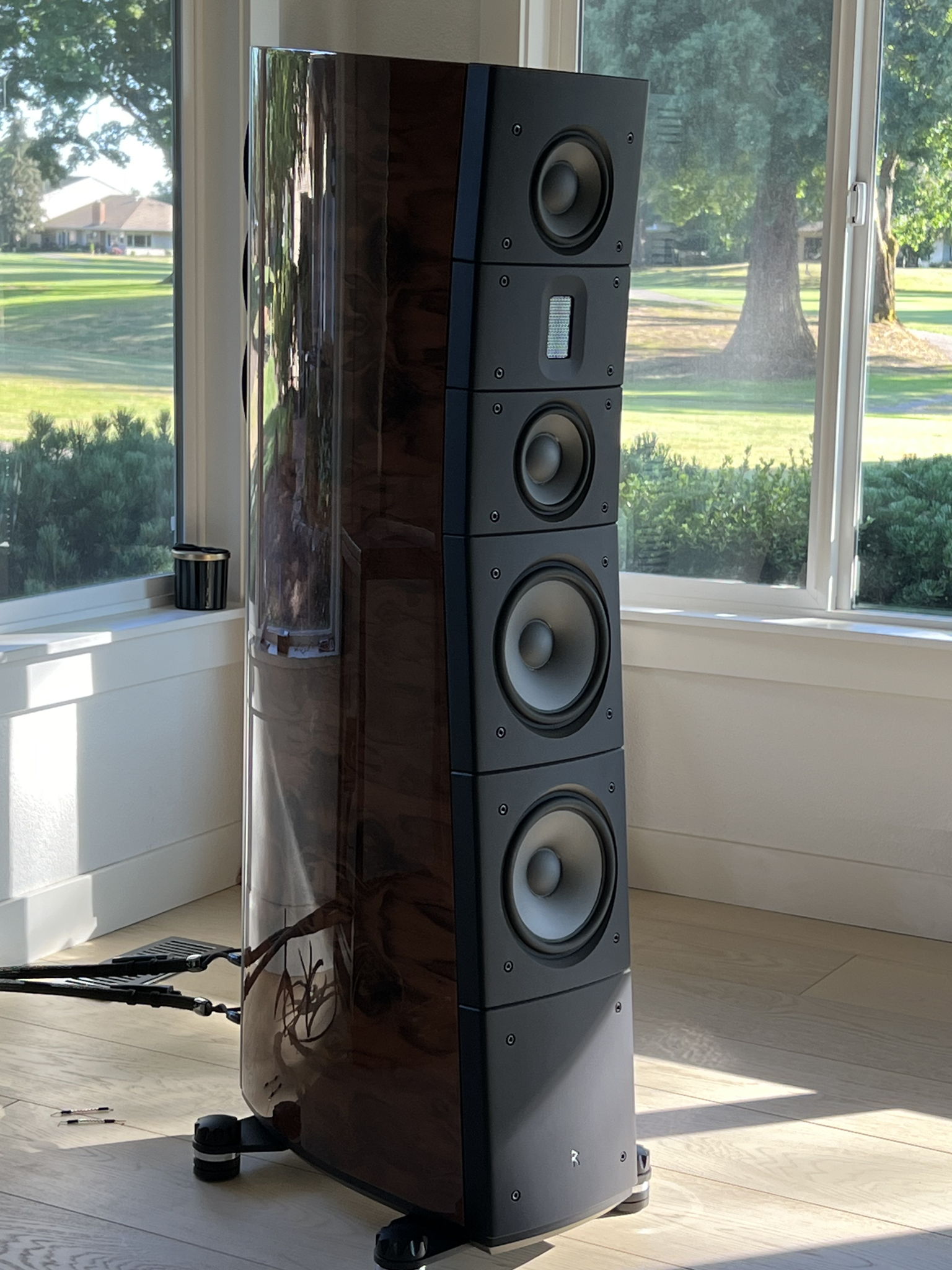 Raidho Acoustics TD 3.8's 3