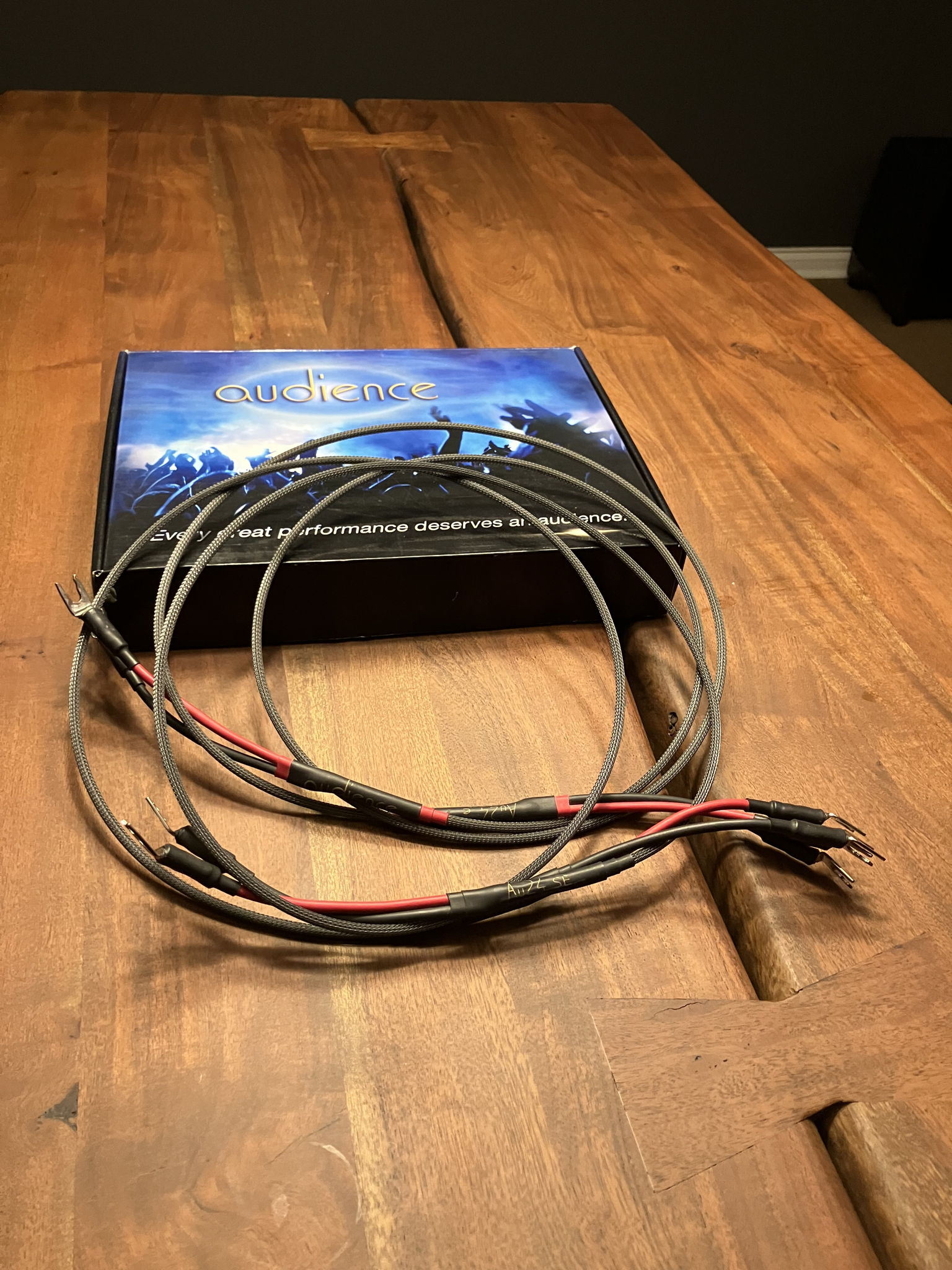 Audience AU 24 SE 2 meter speaker cable 3
