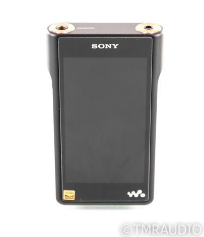 Sony Walkman NW-WM1A 128 GB Portable Music Player; Matt...