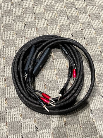 AudioQuest Castle Rock 10 ft speaker cables with Banana...