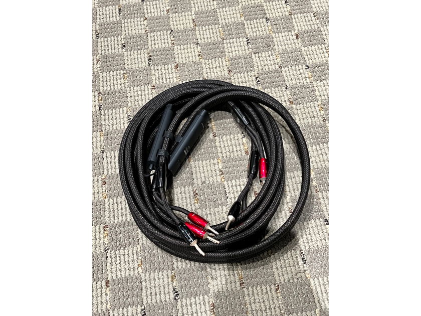 AudioQuest Castle Rock 10 ft speaker cables with Banana connectors.