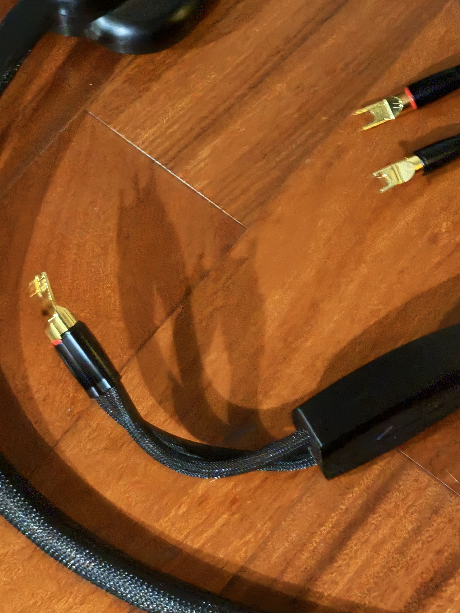 Transparent Audio XL Gen V speaker Cables 10 feet. spades. 2