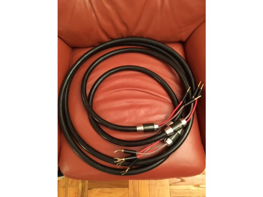 Esoteric Acrolink 7N-S10000 Speaker Cable