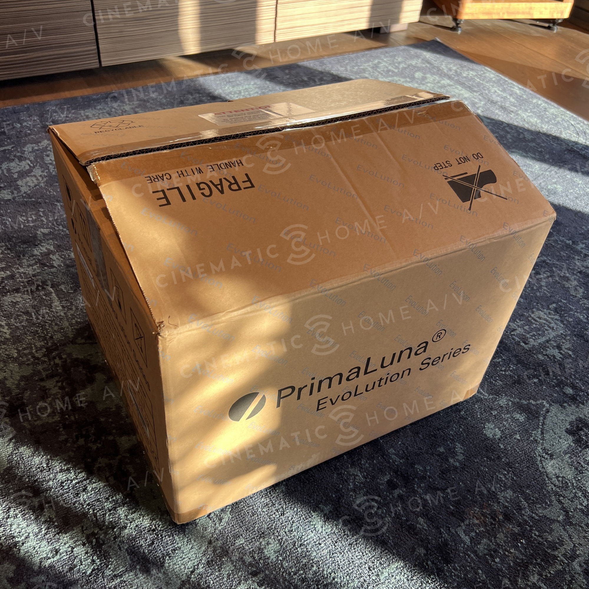 PrimaLuna EVO 100 Tube Phonostage 13