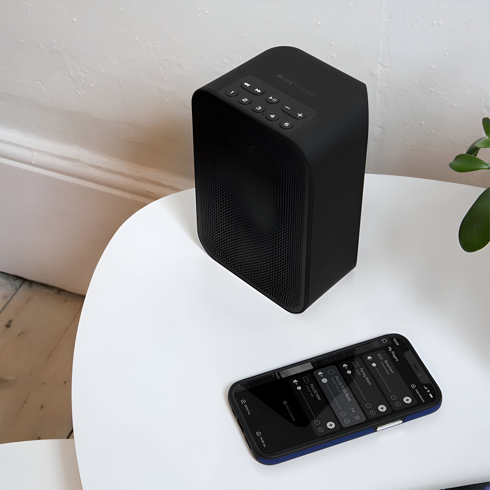 Bluesound Pulse Flex 2i Portable Wireless Streaming Spe... 5