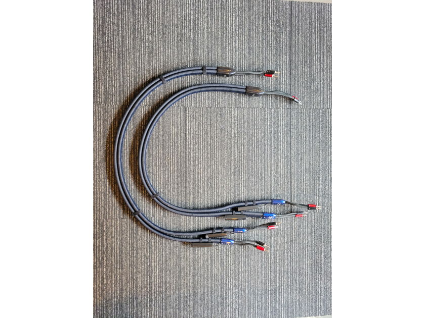 Audioquest ThunderBird Bi-Wire COMBO ZERO + BASS Speaker Cable - 6ft Pair - Banana Plugs