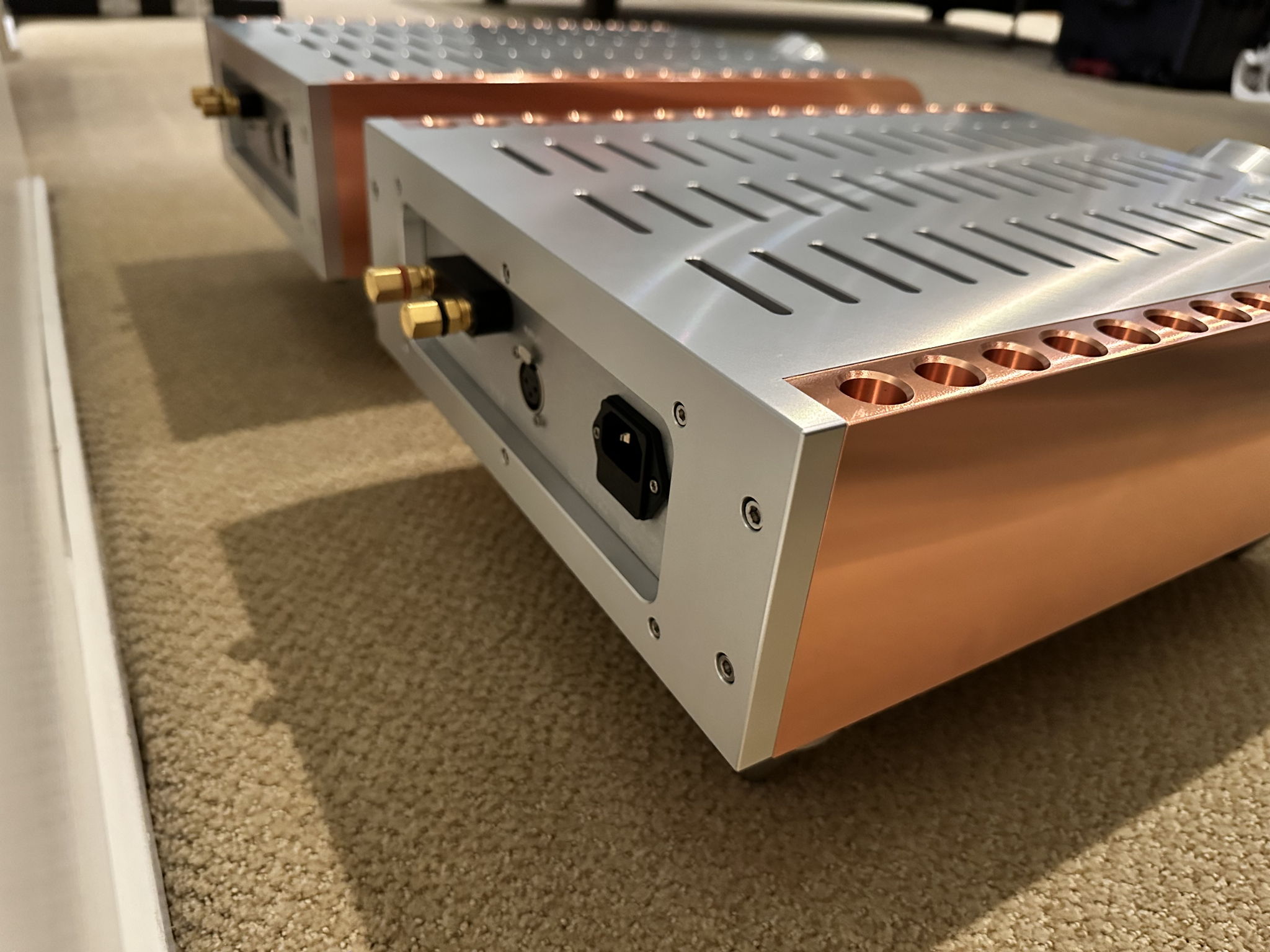 Dan D'Agostino Momentum M400 Mono Amplifiers 8