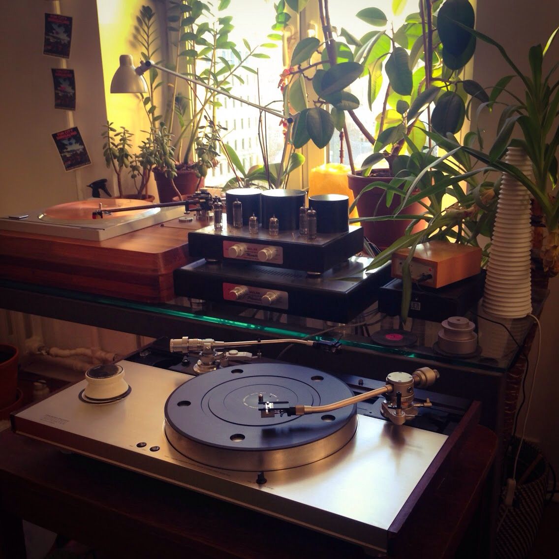 SAEC SS-300 mat is nice on LUX platter, Micro Seiki CU-500 is superb on Technics platter. Tonearms are reed 3p "12, Lustre GST-801, SONY PUA-7. The amp is WLM Minueta, under the amp you can see WLM Phonata Reference phono stage, JLTi with ZYX headam is on the right.