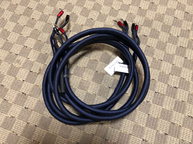 Wild Speaker cable.