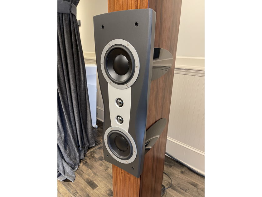 Dynaudio - Confidence C2 - Gorgeous Rosewood Finish - Customer Trade-In - BTC Now Accepted - 12 Months Interest Free Financing Available!!!