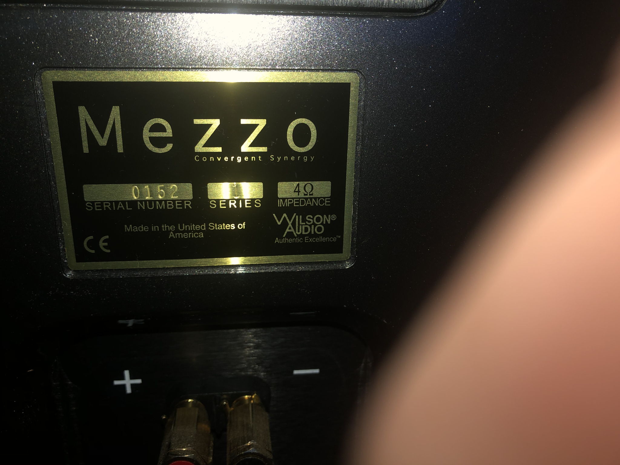 Wilson Audio Mezzo CS Center w Hourglass Stand 11