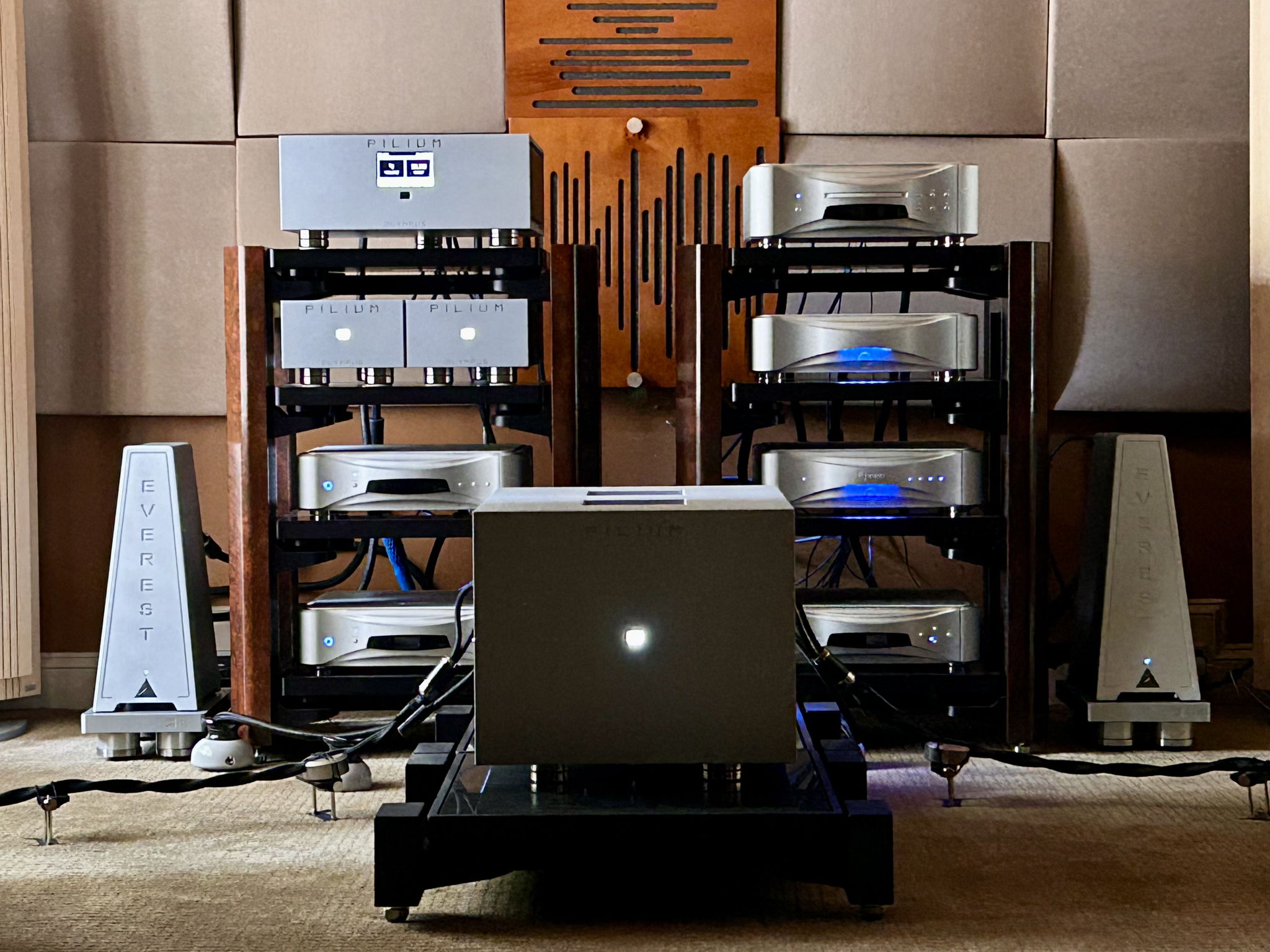 Shunyata Research Everest 8000  Power Conditioners (2 a...