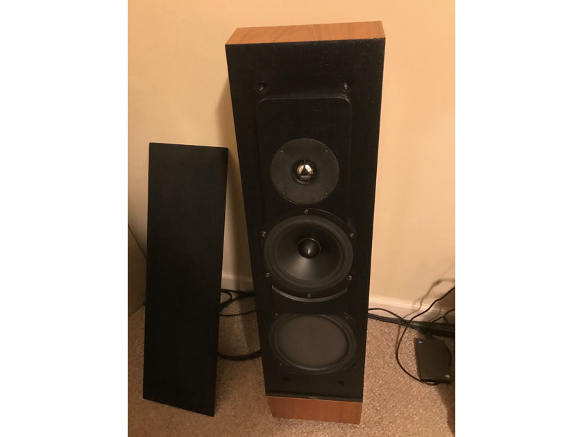 Thiel Audio CS 1.5 loudspeakers in Exceptional Condition