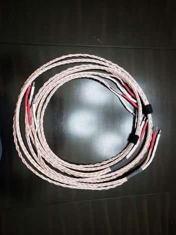 Kimber Kable 12TC internal bi-wire (8TC+4TC) 6ft long.