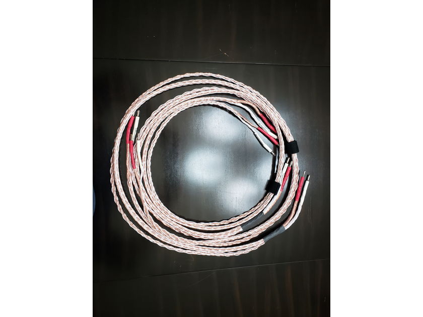 Kimber Kable 12TC internal bi-wire (8TC+4TC) 6ft long.