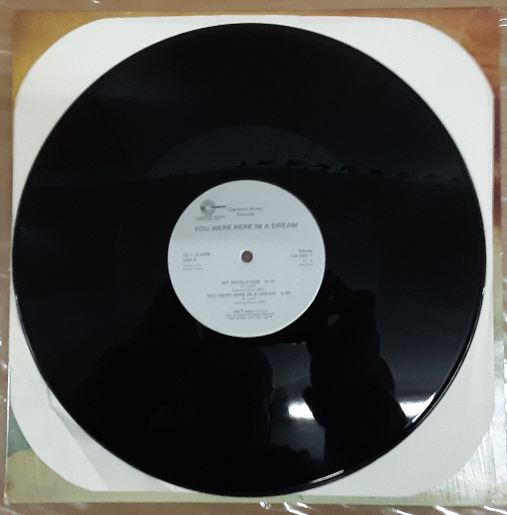 Ronnie Littell - You Were Here In A Dream 1983 NM- Viny... 5