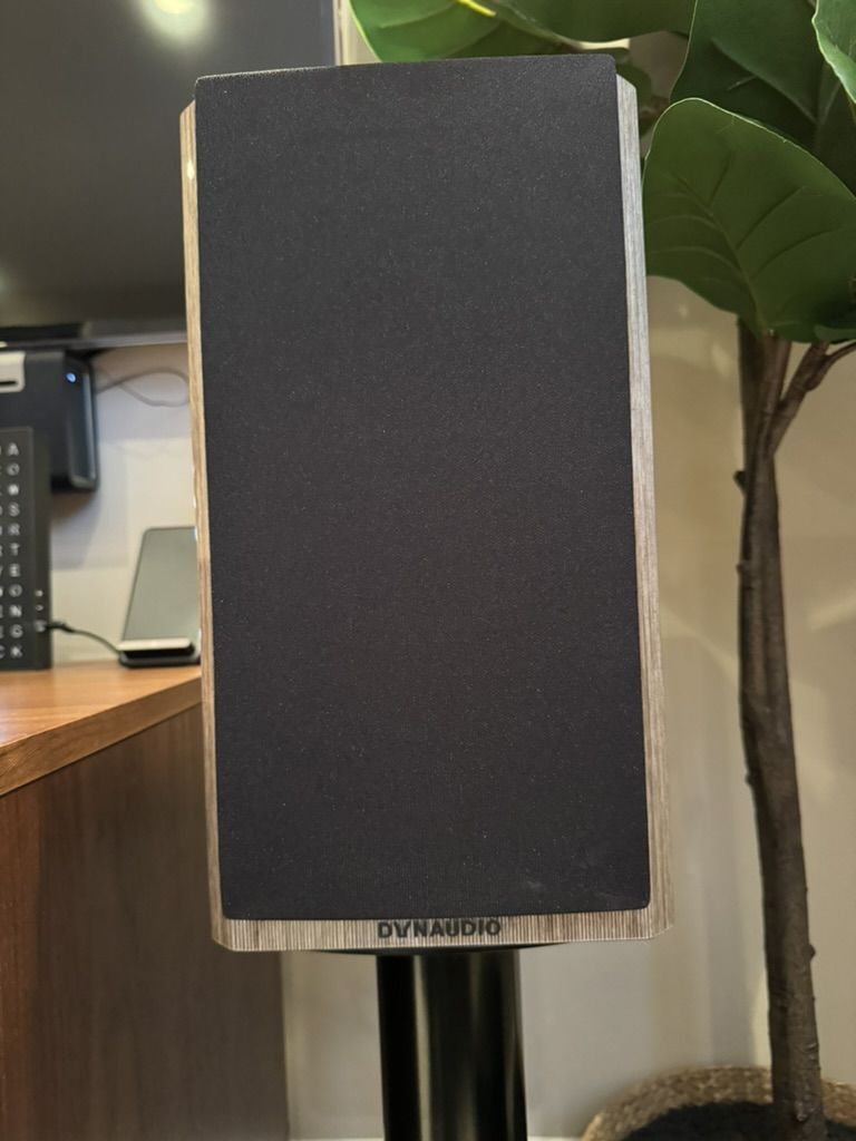 Dynaudio Special Anniversary 40 Grey Birch high Gloss 3