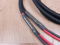 Audience Maestro audio speaker cables 2,5 metre 2