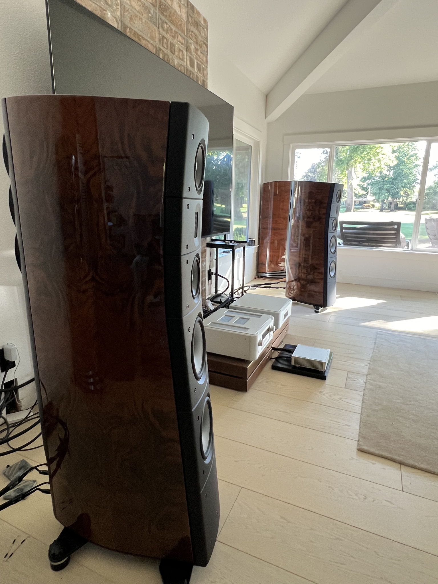 Raidho Acoustics TD 3.8's 4