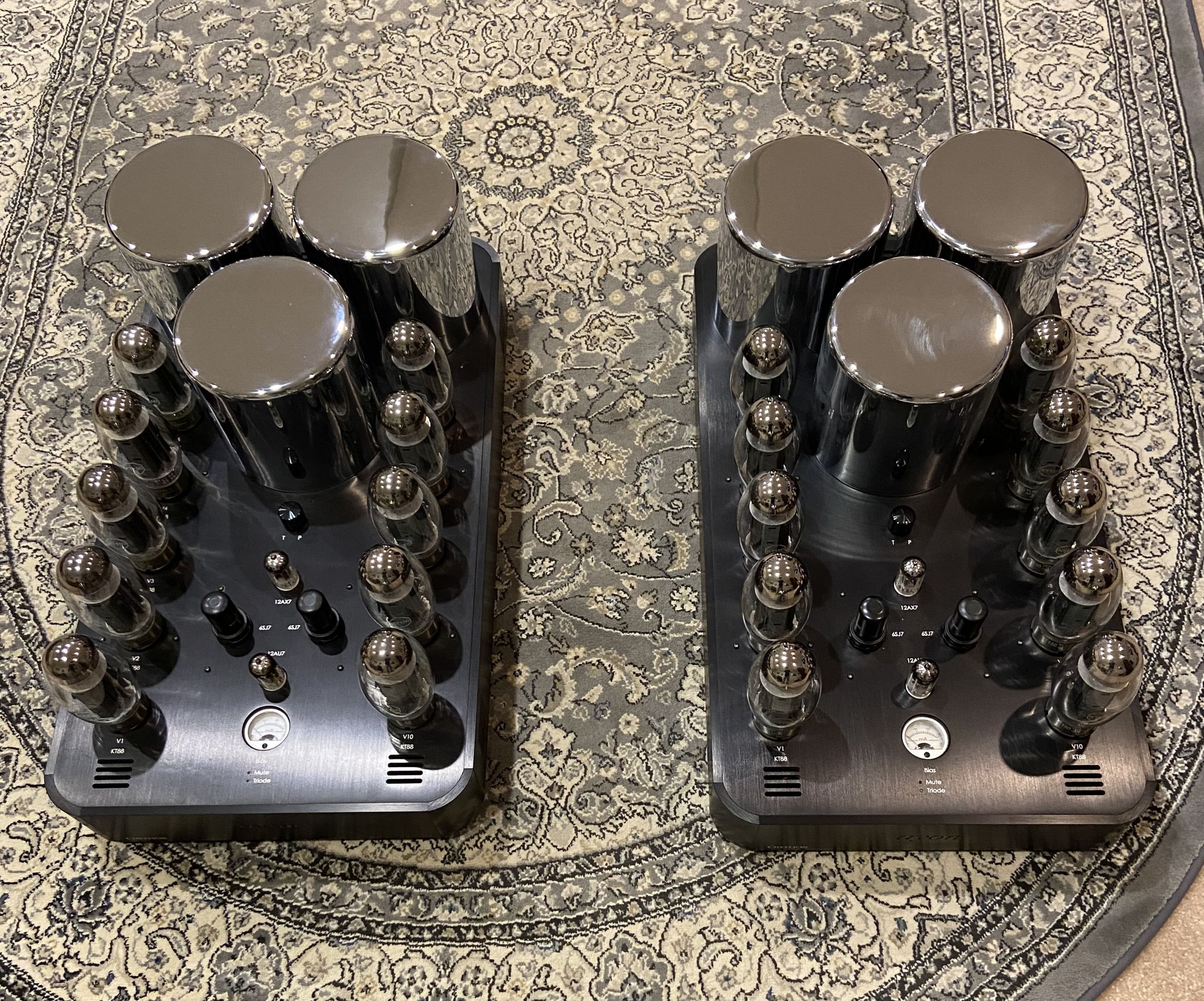 Ayon Orthos XS Mono Amplifiers - Excellent Condition!